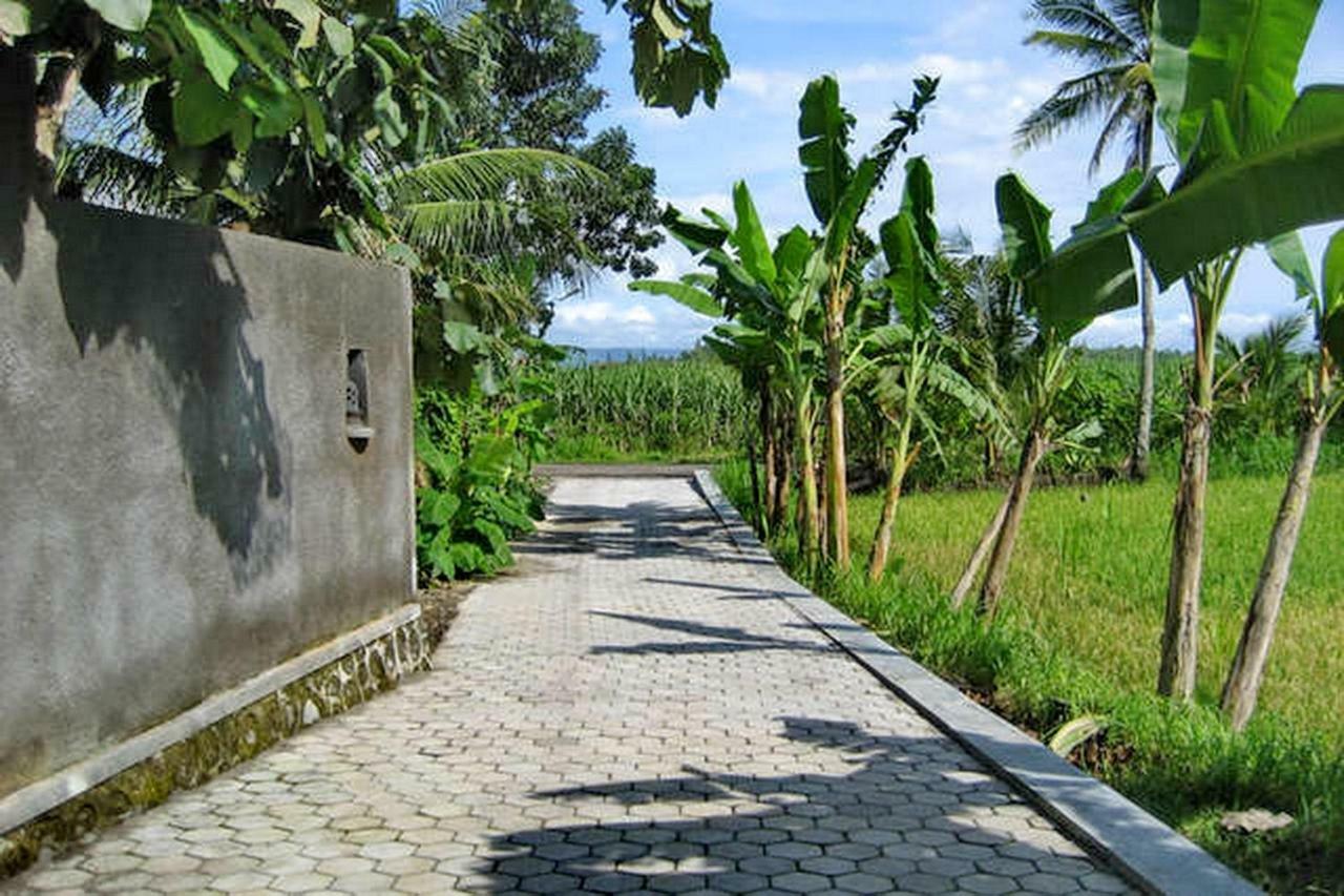 The Sawah Home Hotel Yogyakarta Eksteriør billede
